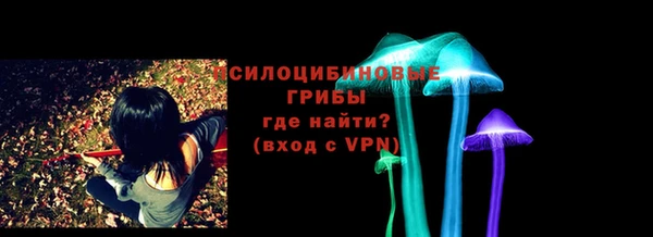 мдпв Лабытнанги