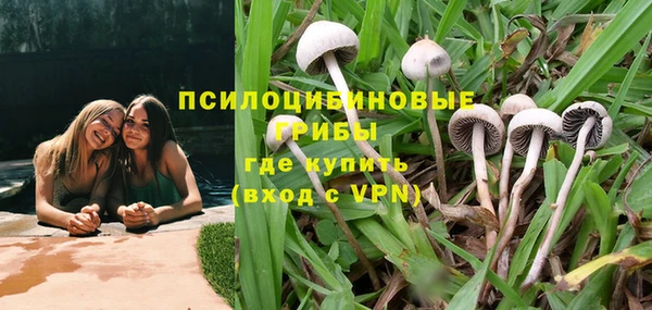 дживик Фёдоровский